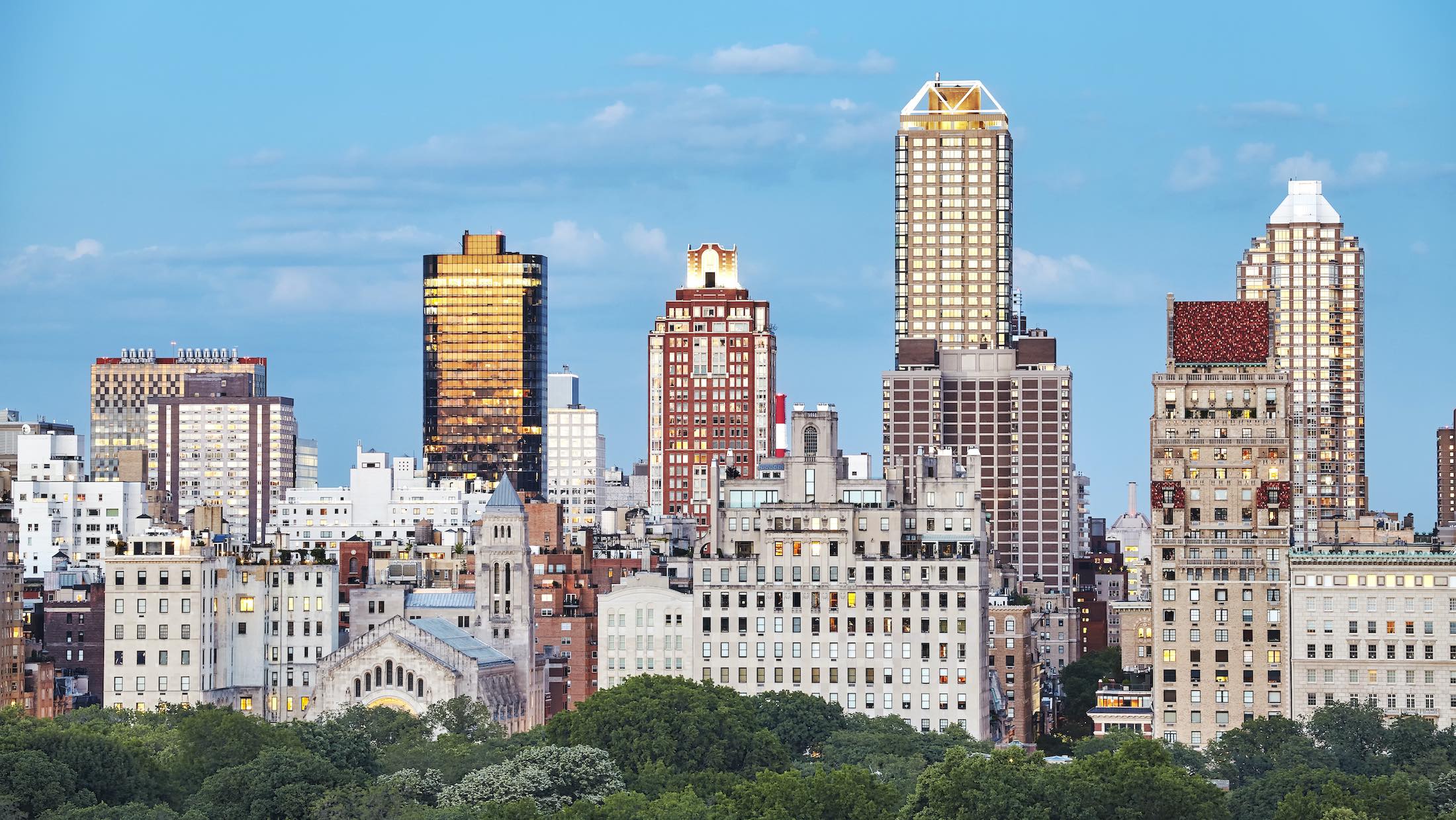 New York City - Builds BIO organization